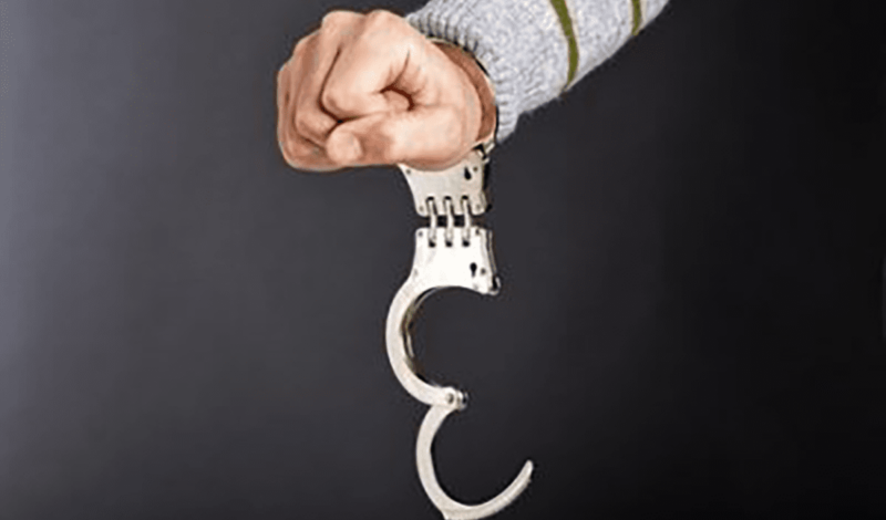 Florida Attorney For Resisting Arrest, Michael T. Rabideau, Brutality