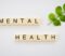 mental-health-lawyer-rabideau