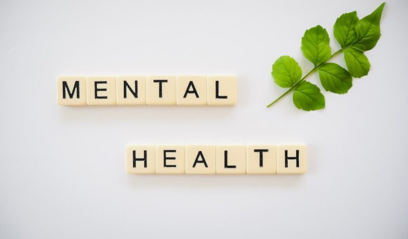 mental-health-lawyer-rabideau
