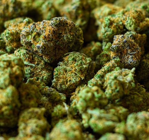 marijuana-attormey