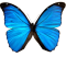 eugenia-cooney